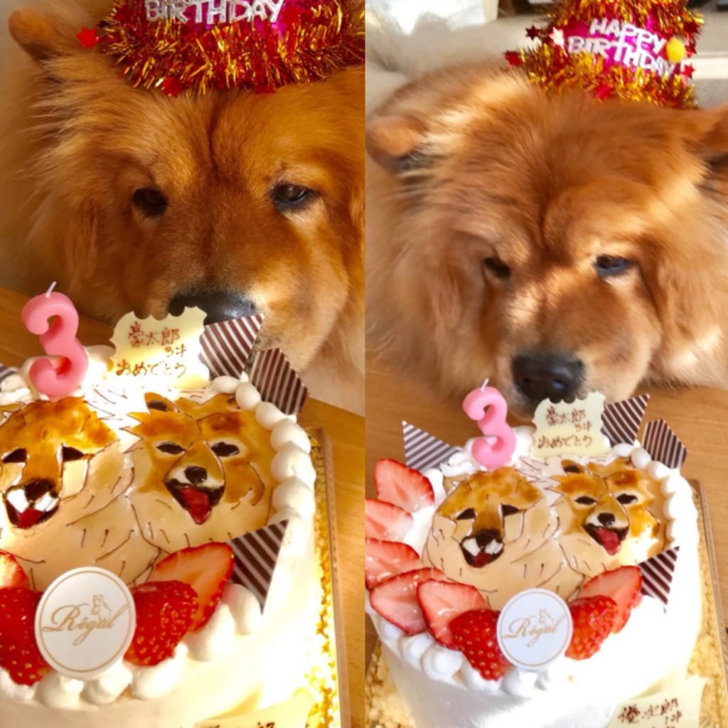 犬の似顔絵バースデーケーキ