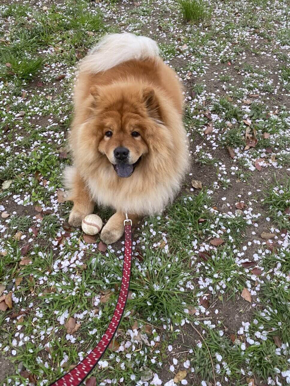 笑顔が可愛い♡