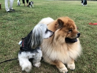 ルイくんと豪太郎