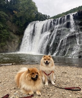 栃木県龍門の滝