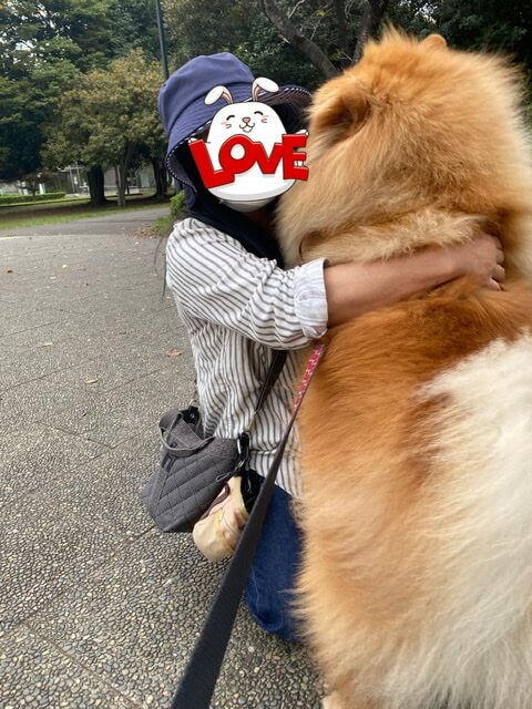 飛びつくチャウチャウ犬