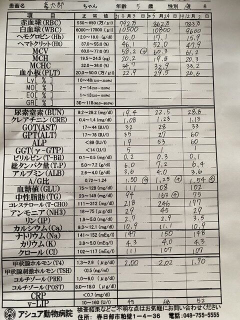 犬の血液検査の数値　表