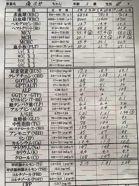 犬の血液検査の結果表