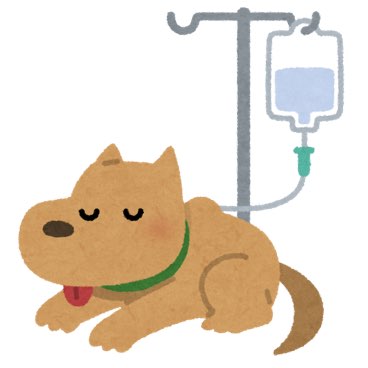犬の病気カテゴリーのイラスト