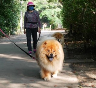 涼しいとこをお散歩中