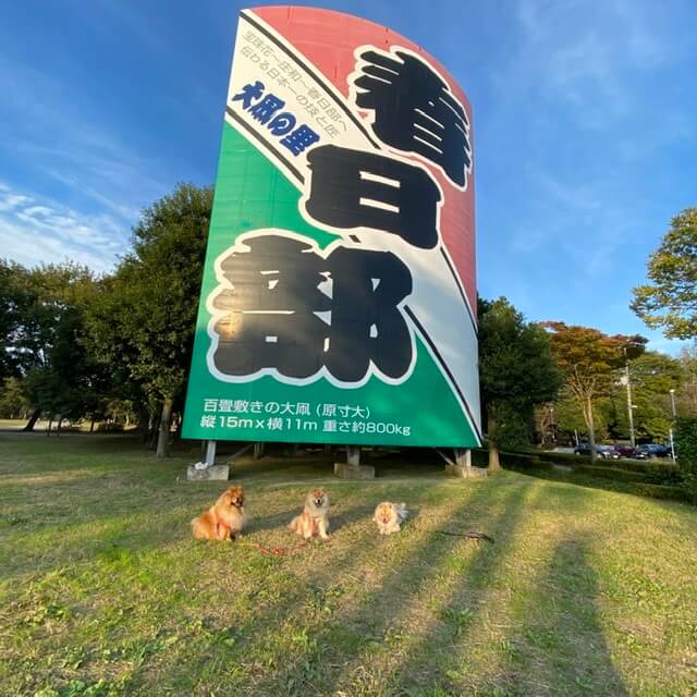 春日部市庄和公園の大凧